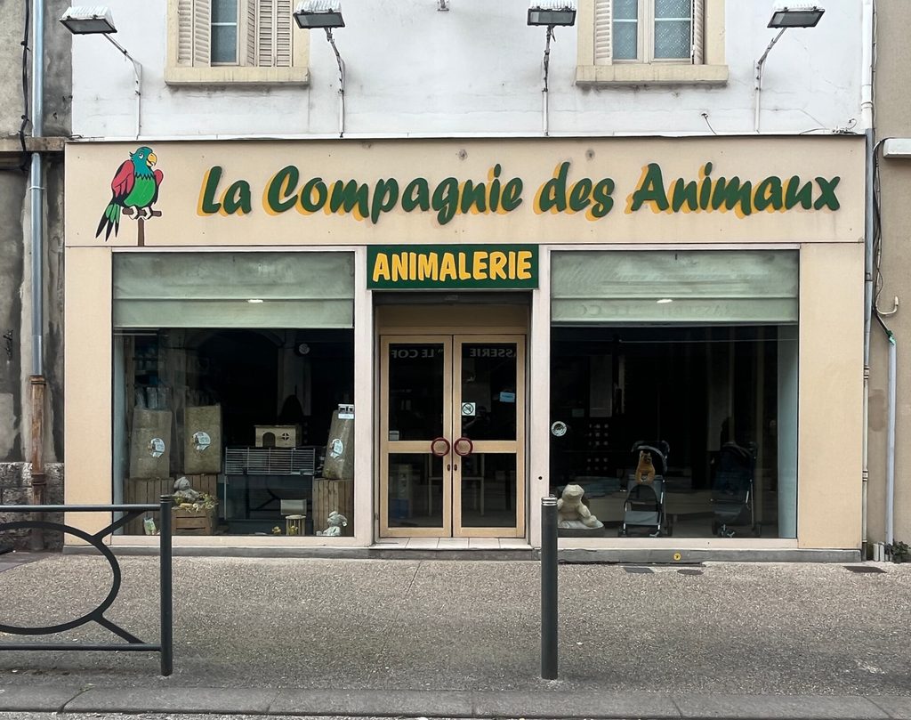 Rue commerçante à Limoges