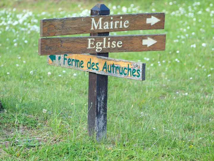 Jalonnement et signalétique d'un pôle administratif — vue 2